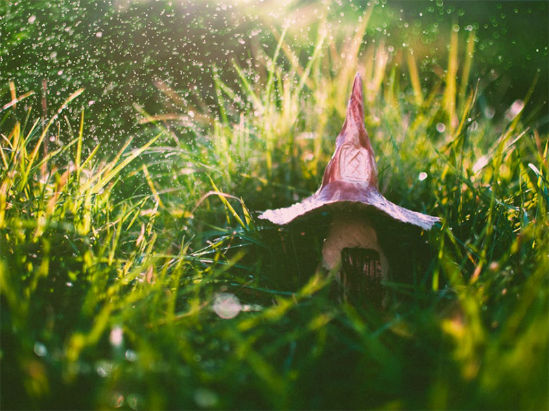 土壤分析儀的檢測(cè)效率