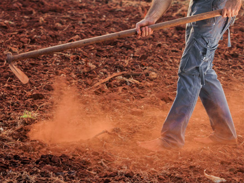 土壤有機(jī)質(zhì)檢測儀原理